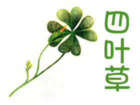 通用色铅笔入门练习-幸运四叶草