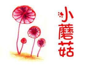通用色铅笔入门练习-小蘑菇