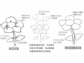 Q版漫画技法-153.Q版花朵的几何体表现