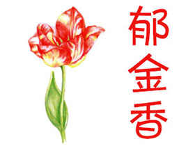 通用色铅笔入门练习-郁金香