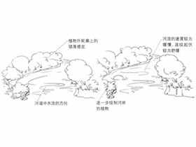 Q版漫画技法-166.特训练习-绘制Q版涓涓细流