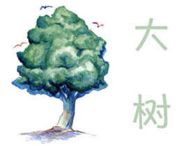 水溶色铅笔入门-练习篇：大树