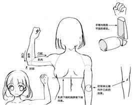 萌系美少女漫画技法-22.手臂的画法