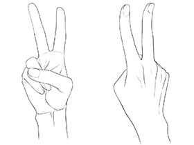 [新手练习线稿]胜利手势全角度[32P]