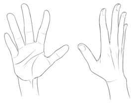 [新手练习线稿]全张开手掌全角度[38P]