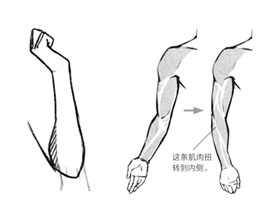 零基础漫画入门-18.手臂的绘制方式