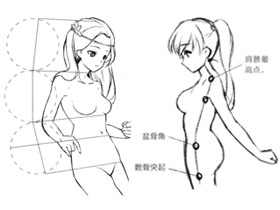 零基础漫画入门-21.确定人体的比例（头身比与肩宽比）
