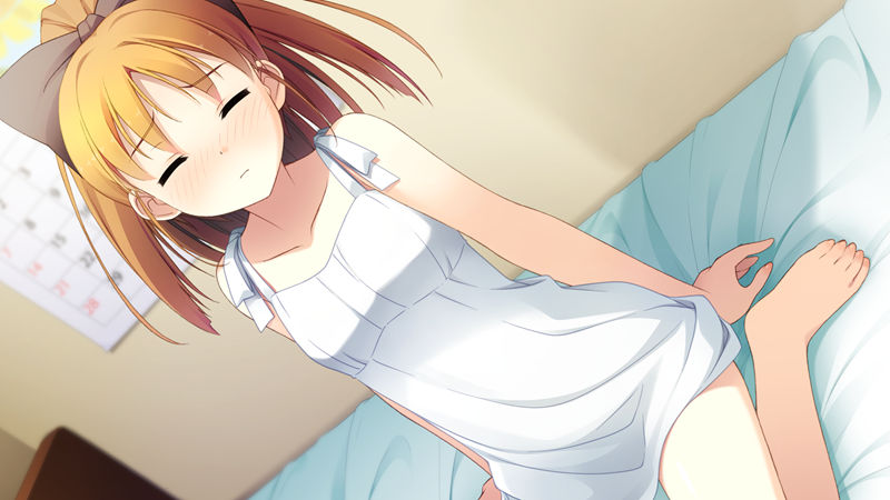 [游戏CG][カントク(Kantoku) すいみゃ]Your Diary ＋H 精选CG[322P]