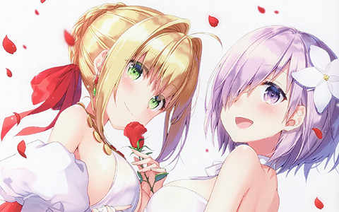 [画集][四桝屋 (桝石きのと)]FGO MIX V[14P]