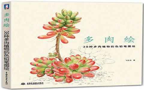 [彩铅教程]多肉绘 38种多肉植物的色铅笔图绘[178P]