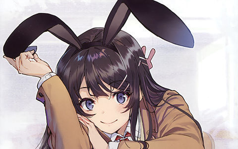 [会员][青春猪头少年系列]樱岛麻衣 高清图片CG包[350P]