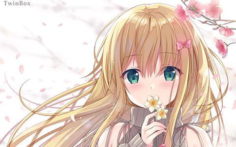 [会员][TwinBox(花花捲、草草饅)]PIXIV图片包+散图包[541P]