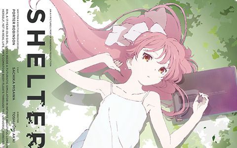[会员][画集][河野恵美]SHELTER/避难所 THE ANIMATION COMMENTARY BOOK[338P]