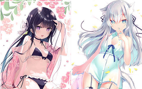 [会员][画集][ねこねこっとん (ふむゆん)]Nekonecottn Vo.9[12P]