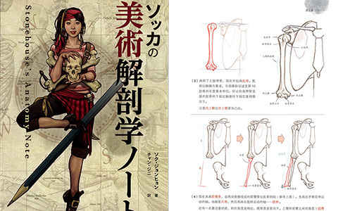 [绘画教程]Stonehouse的美术解剖学笔记 中日双版本[666P]