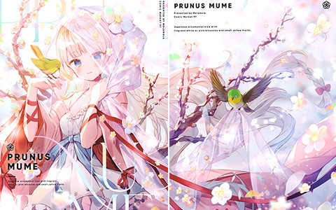 [会员][画集][Molamola (にもし)]Prunus Mume[40P]