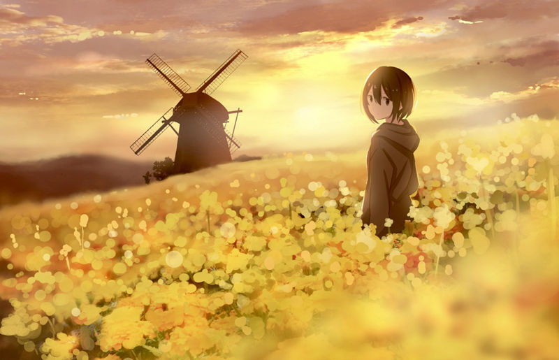 [会员][さけハラス(sakeharasu)]Pixiv+instagram+推特图片包[2582P]