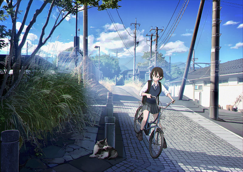 [会员][さけハラス(sakeharasu)]Pixiv+instagram+推特图片包[2582P]