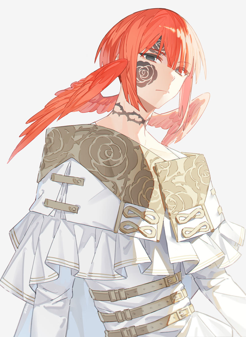 [画师推荐][鹌鹑(QUAIL_ZOZ03)]Pixiv+推特图片包[492P]