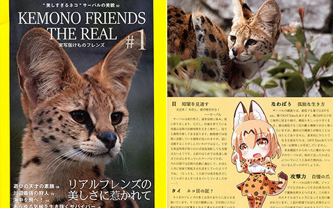 [会员][画集]Kemono Friends the Real #1[20P] | 萌绘
