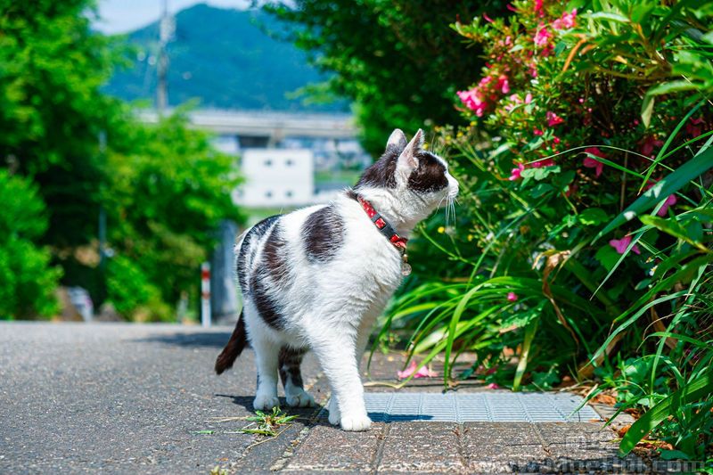 [摄影图包][おくで(Kosuke Okude)]instagram+推特图包[3194P]