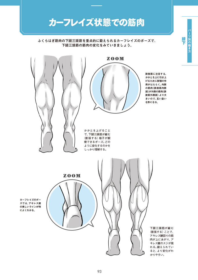 [漫画教程][日文]肌肉的画法!通过部位了解结构并进行区分描绘[130P]