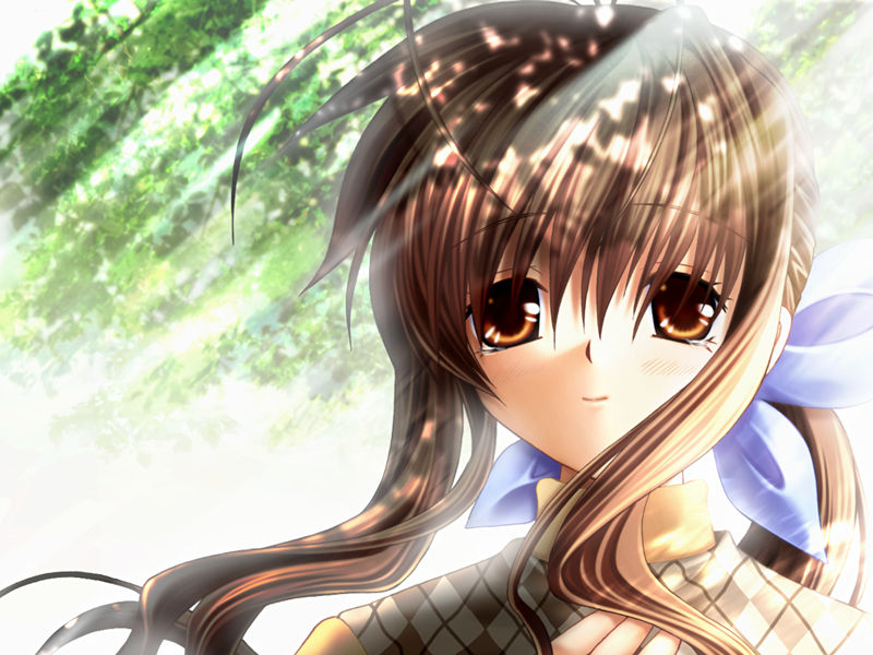 [游戏CG][樋上いたる(樋上至)]Clannad 游戏CG[249P]