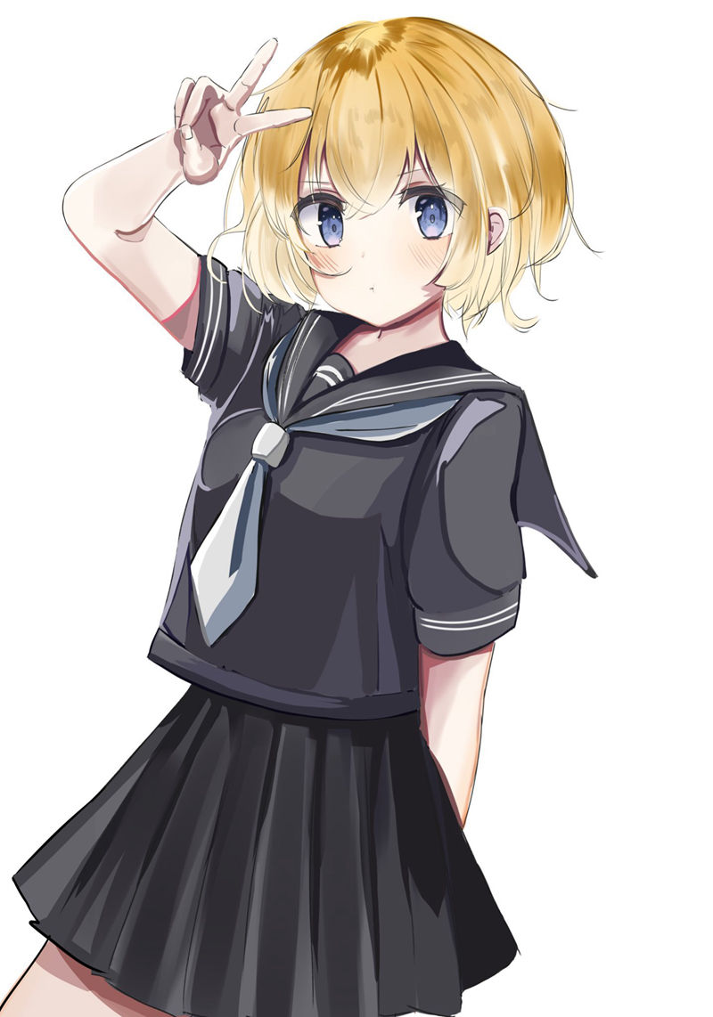 [会员][どろー(Draw_doro)]Pixiv+推特图片包[166P]