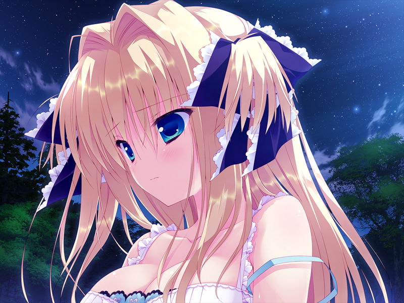[游戏CG][涼香 なちゅらるとん 鶴崎貴大 有河サトル 浅葉ゆう]星空へ架かる橋AA 精选CG[187P]