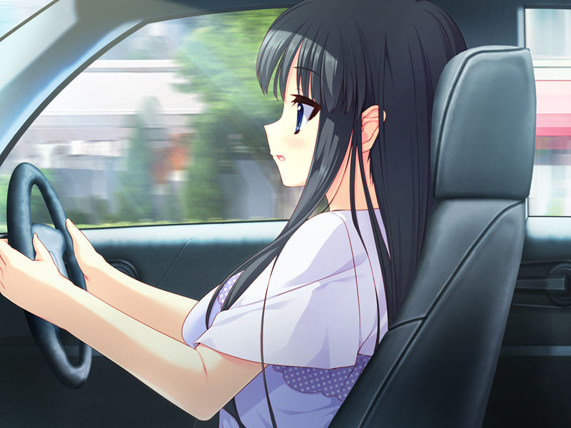 [游戏CG][涼香 なちゅらるとん 鶴崎貴大 有河サトル 浅葉ゆう]星空へ架かる橋AA 精选CG[187P]