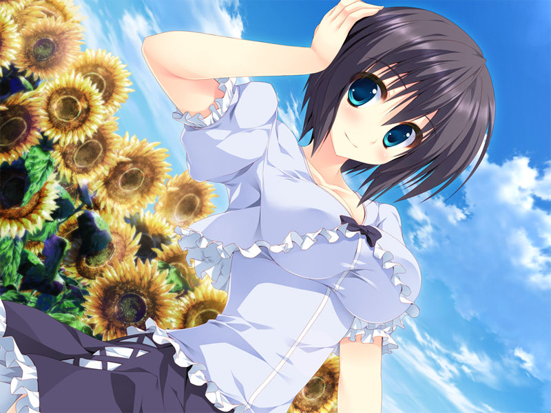 [游戏CG][涼香 なちゅらるとん 鶴崎貴大 有河サトル 浅葉ゆう]星空へ架かる橋AA 精选CG[187P]