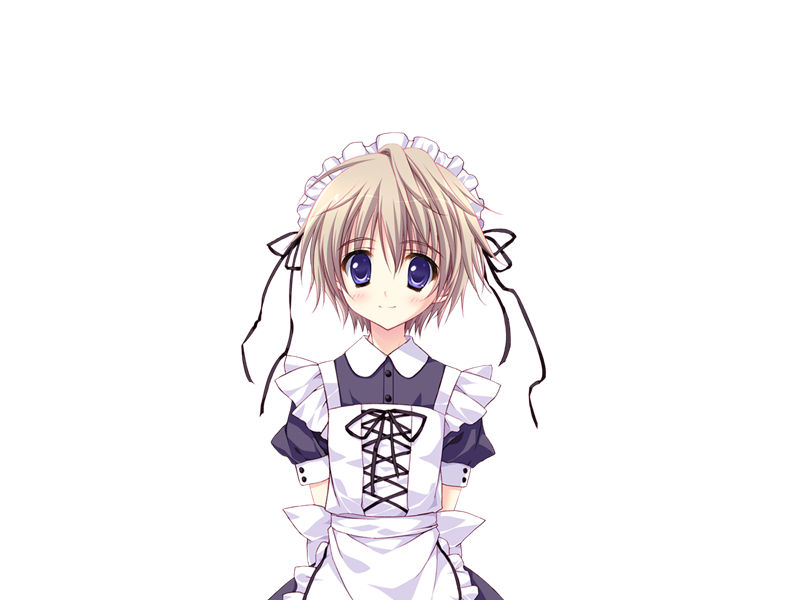 [会员][立绘图包][涼香 なちゅらるとん 鶴崎貴大 有河サトル 浅葉ゆう]星空へ架かる橋AA[1454P]