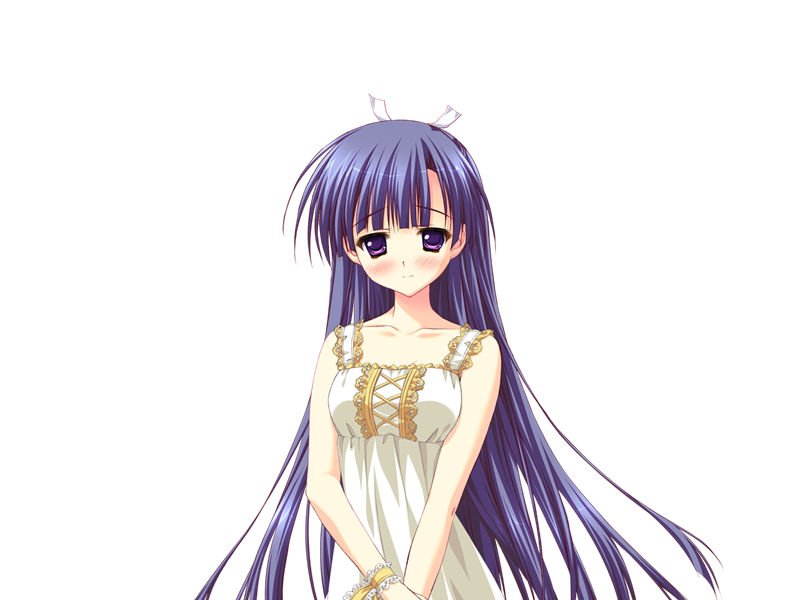 [会员][立绘图包][涼香 なちゅらるとん 鶴崎貴大 有河サトル 浅葉ゆう]星空へ架かる橋AA[1454P]