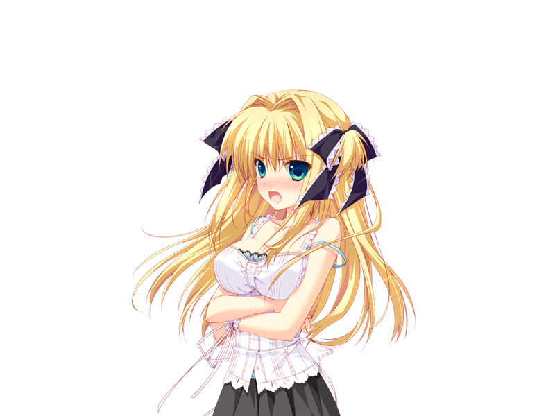 [会员][立绘图包][涼香 なちゅらるとん 鶴崎貴大 有河サトル 浅葉ゆう]星空へ架かる橋AA[1454P]