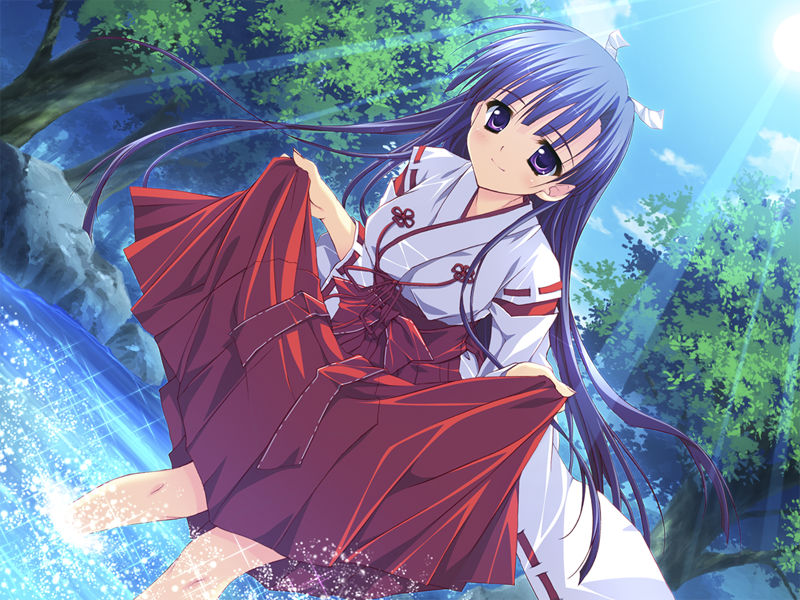 [游戏CG][涼香 なちゅらるとん 鶴崎貴大 有河サトル 澤野明]星空へ架かる橋 精选CG[236P]