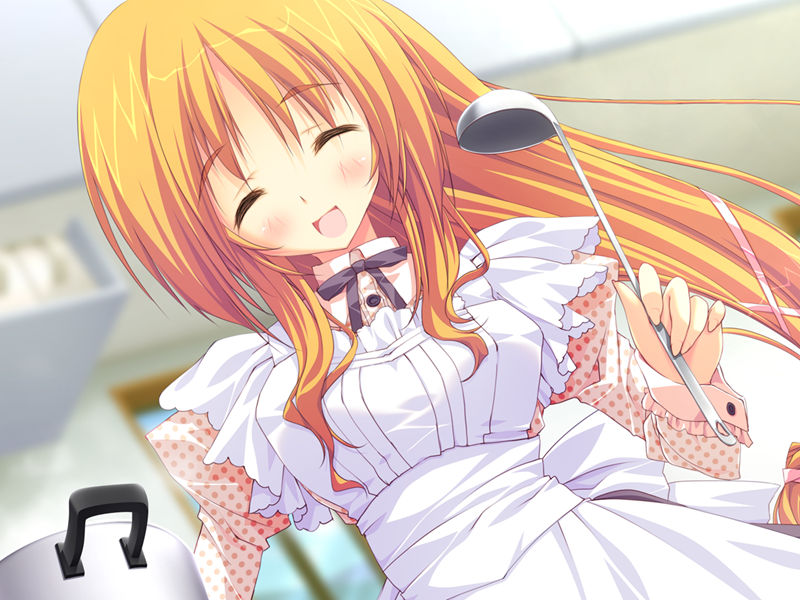 [游戏CG][涼香 なちゅらるとん 鶴崎貴大 有河サトル 澤野明]星空へ架かる橋 精选CG[236P]