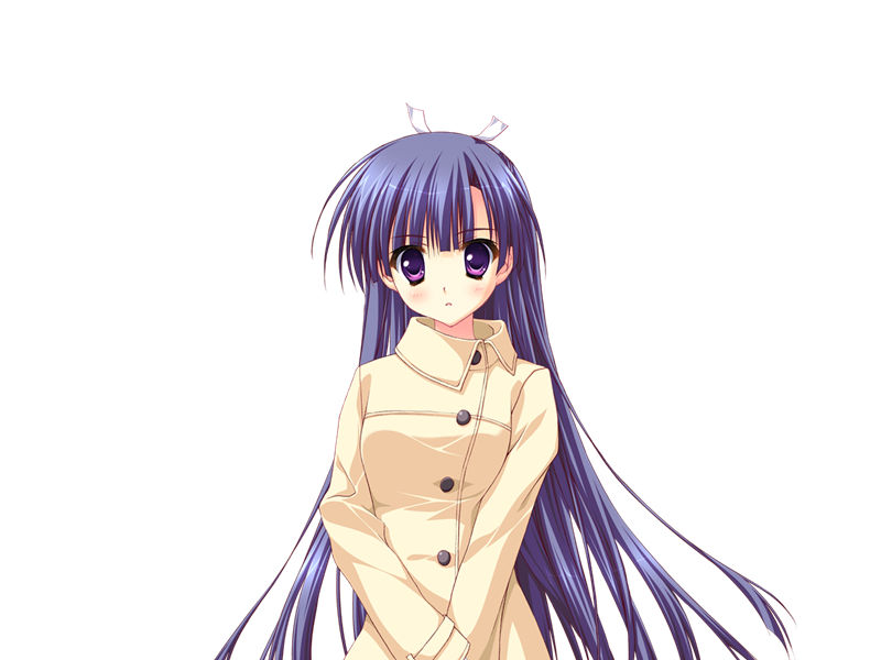 [会员][立绘图包][涼香 なちゅらるとん 鶴崎貴大 有河サトル]星空へ架かる橋[2056P]