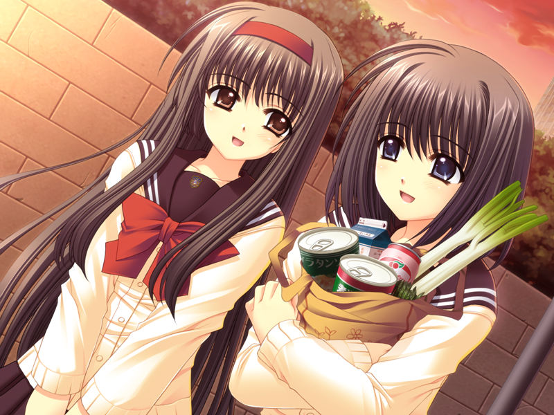 [游戏CG][西又葵]俺たちに翼はない 精选CG[277P]