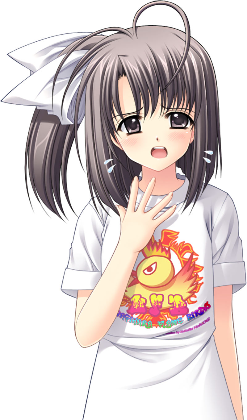 [会员][立绘图包][西又葵]俺たちに翼はない[872P]