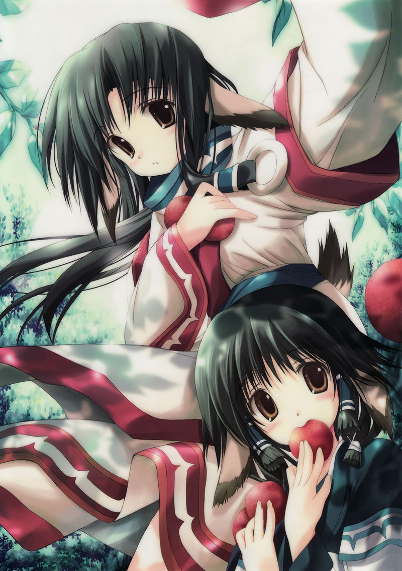 [会员][天夢森流彩(TenmuShinryuusai)]Pixiv+散图+推特图片包[576P]