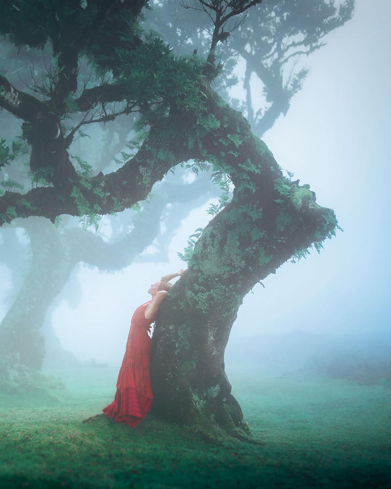 [摄影图包][Lizzy Gadd(elizabethgadd)]instagram图包[1180P]