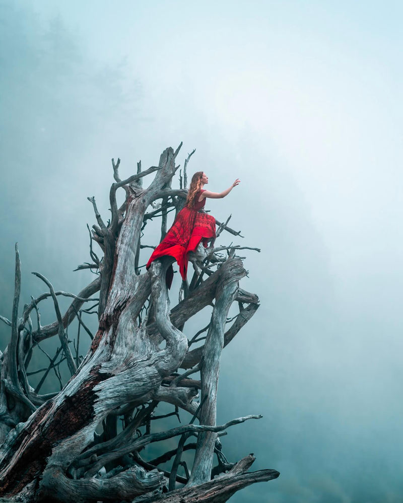 [摄影图包][Lizzy Gadd(elizabethgadd)]instagram图包[1180P]