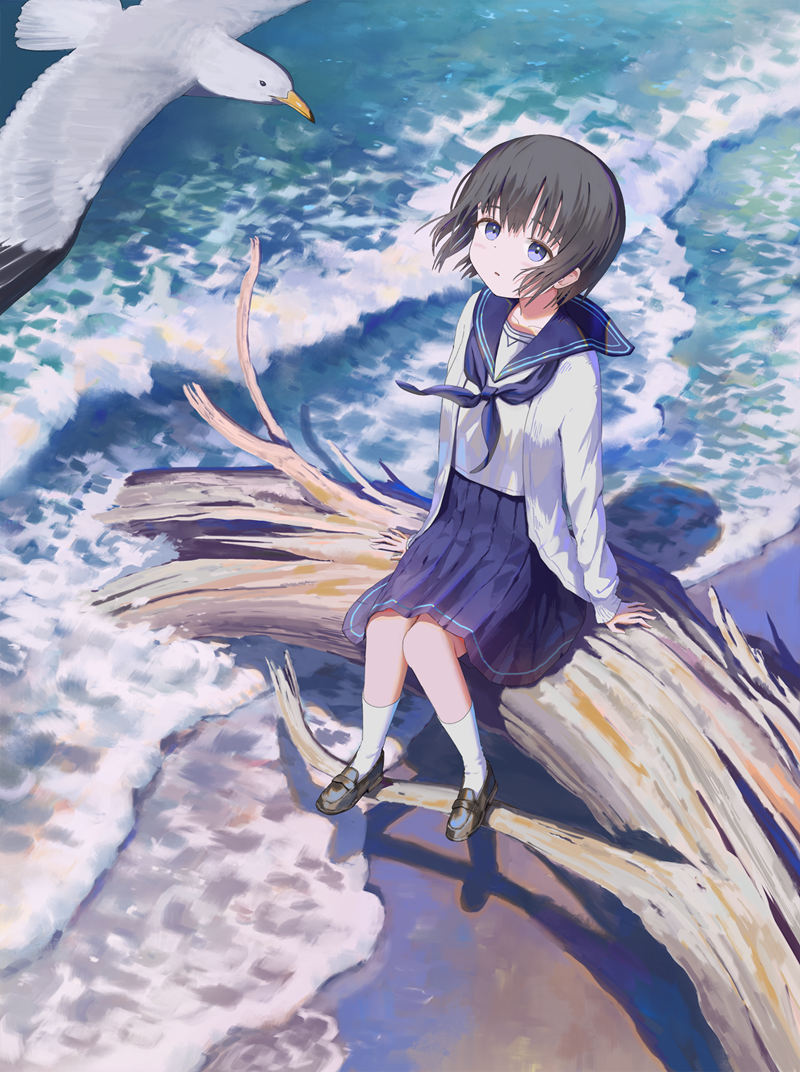 [会员][ふぃーる(hatiue0313)]Pixiv+artstation+推特图片包[373P]