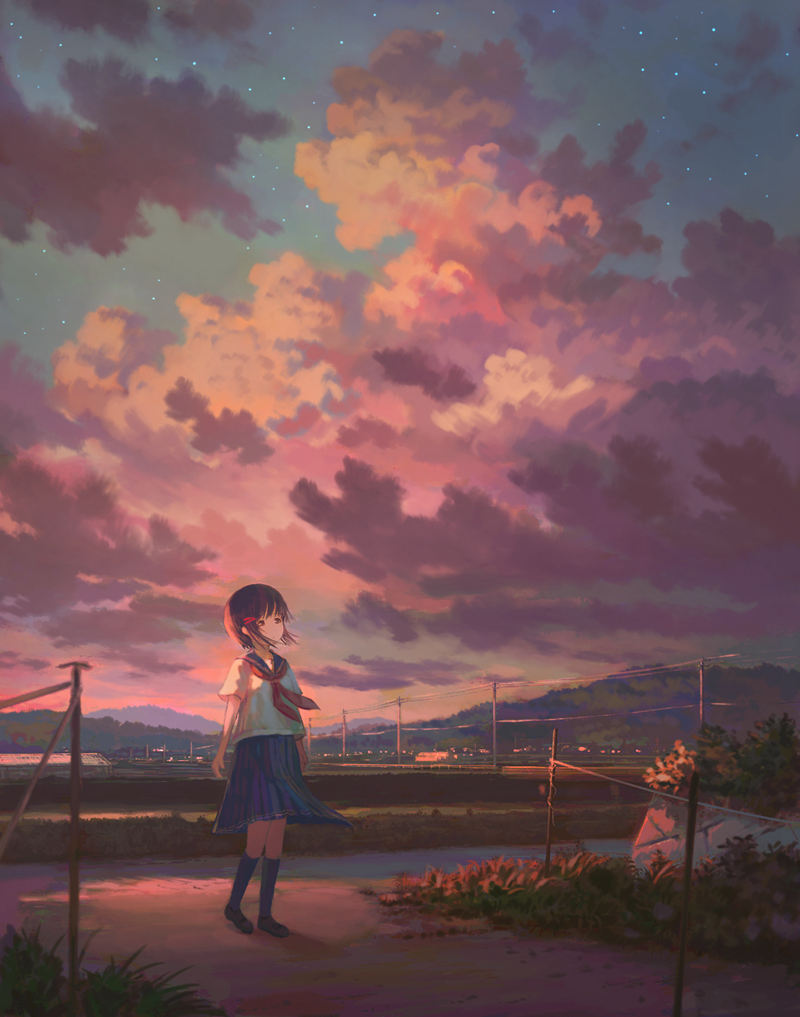 [会员][ふぃーる(hatiue0313)]Pixiv+artstation+推特图片包[373P]