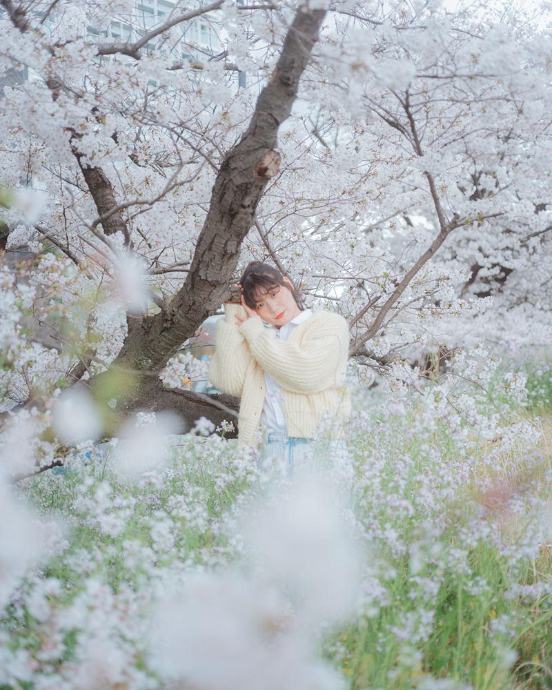 [摄影图包][歩雪 のわ(n_tearsphoto)]instagram图包[9520P]