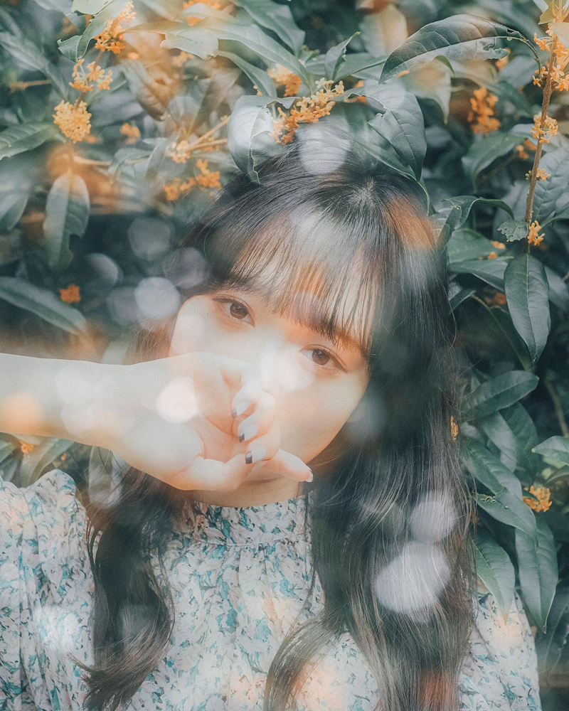 [摄影图包][歩雪 のわ(n_tearsphoto)]instagram图包[9520P]