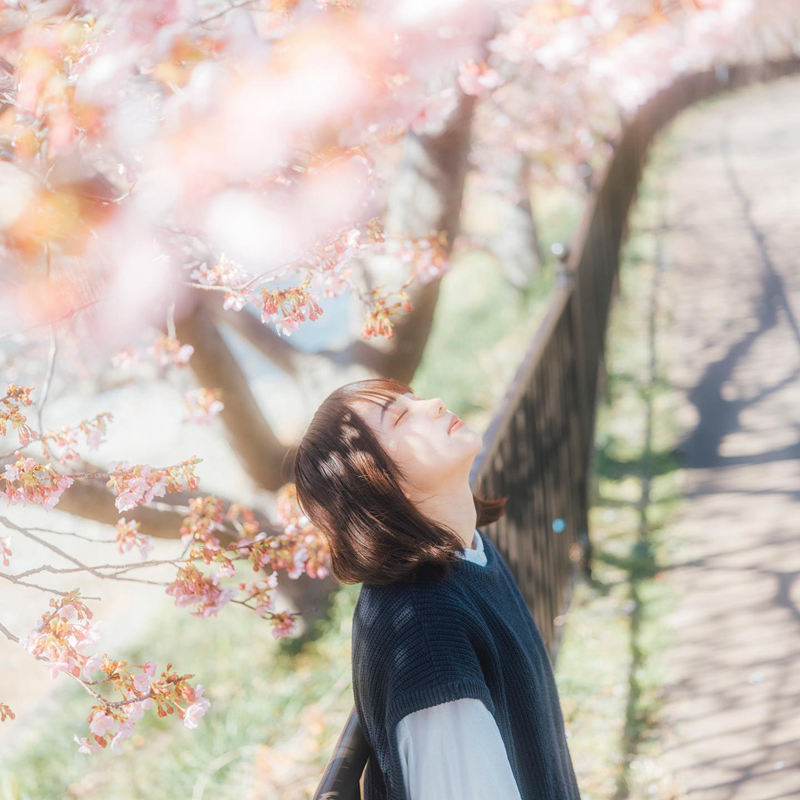 [摄影图包][歩雪 のわ(n_tearsphoto)]instagram图包[9520P]