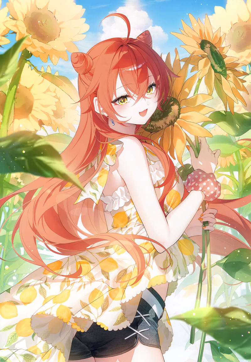 [会员][画集][AliceSyndrome＊ (遠坂あさぎ)]Summer Sunshine[12P]