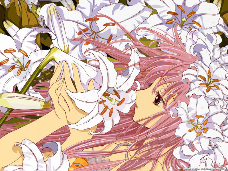 [画集]CLAMP 壁纸包[236P]