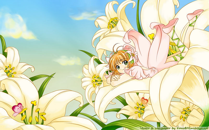 [画集]CLAMP 壁纸包[236P]